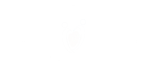 logo dj flapper